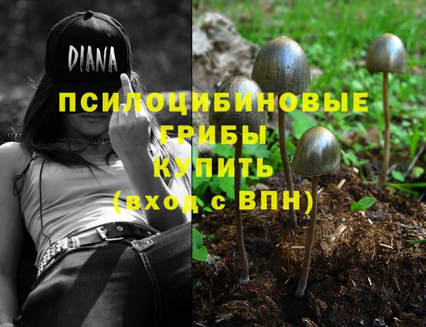COCAINE Няндома
