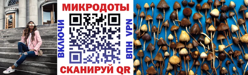 купить наркотик  Фурманов  Псилоцибиновые грибы мицелий 