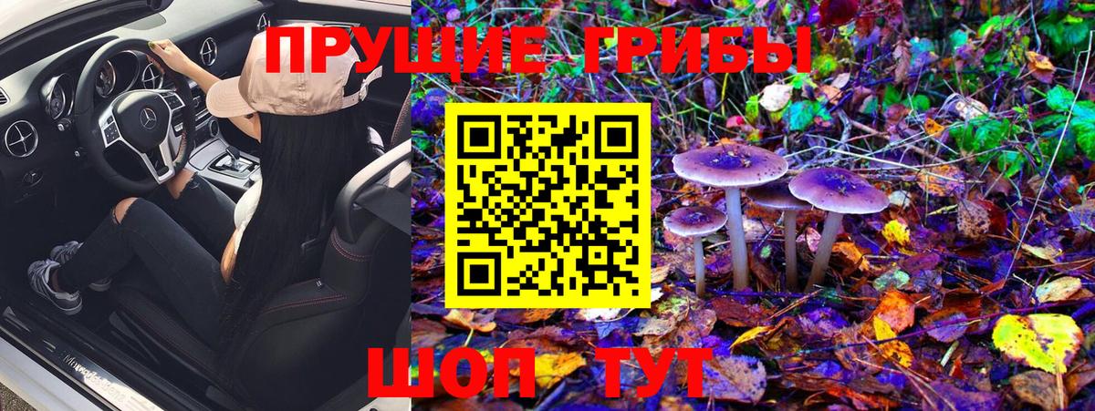 Фурманов  Псилоцибиновые грибы Psilocybine cubensis  Вход с VPN  Псилоцибиновые грибы мицелий 