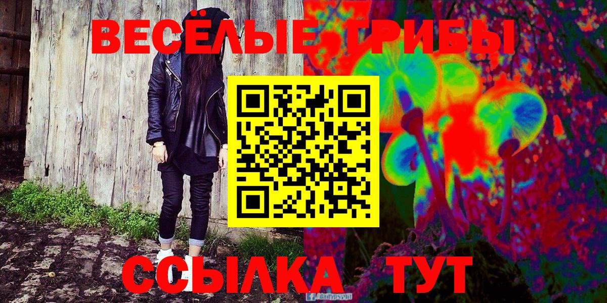 Псилоцибиновые грибы Psilocybe Фурманов